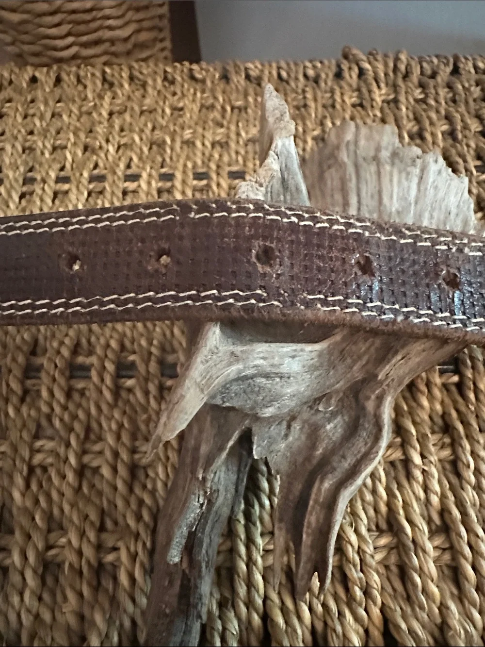 Vintage La Doppia Vita brown leather silver medallion 37/95 western belt